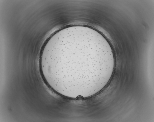 X0000113171237200910021515