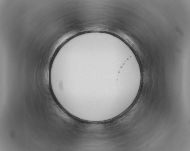 X0000113171238200910021515