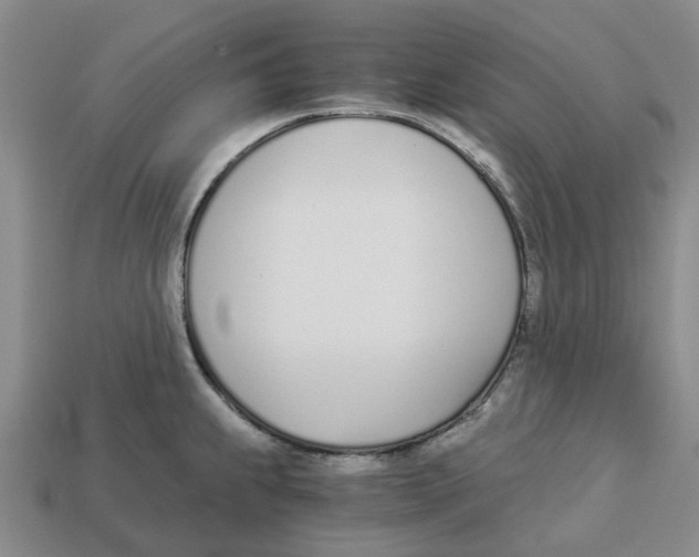 X0000113171239200910021515
