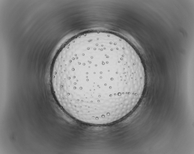 X0000113171240200910021515