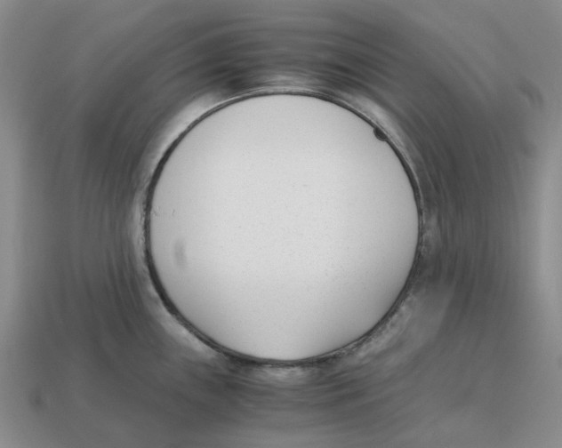 X0000113171243200910021515