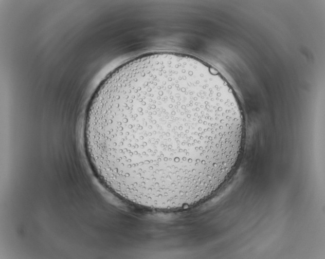 X0000113171245200910021515
