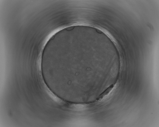 X0000113171246200910021515