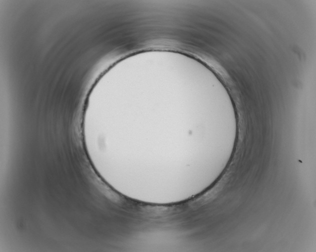 X0000113171248200910021516