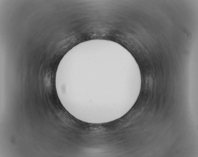 X0000113171250200910021515