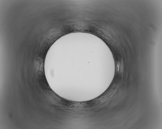 X0000113171251200910021515