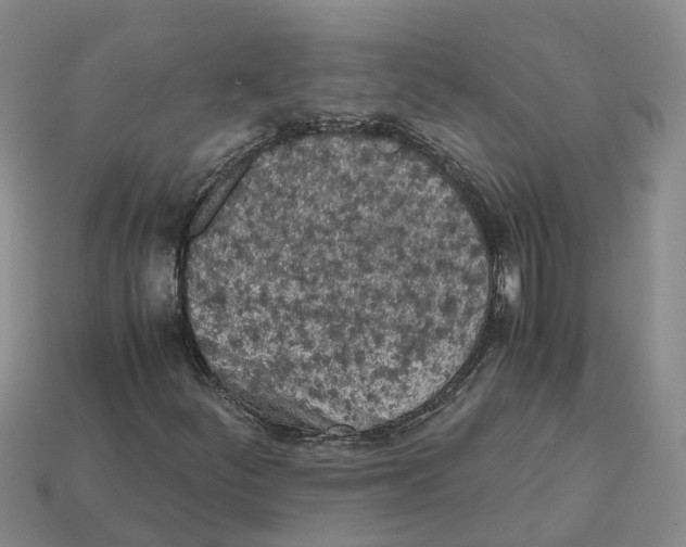 X0000113171252200910021515