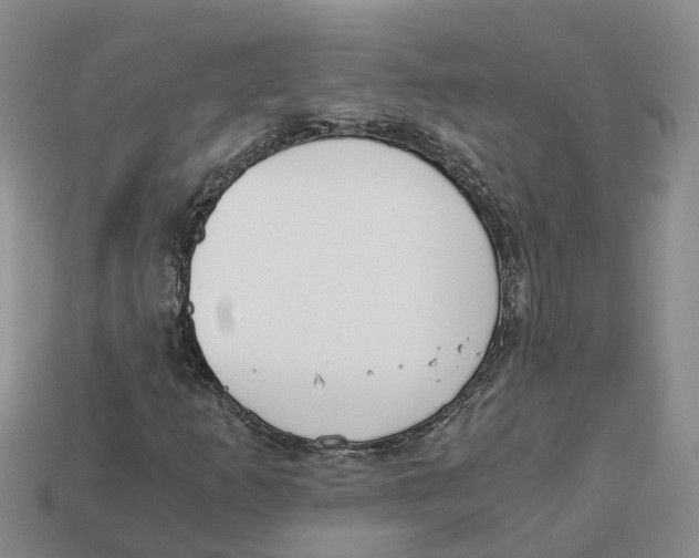 X0000113171253200910021515