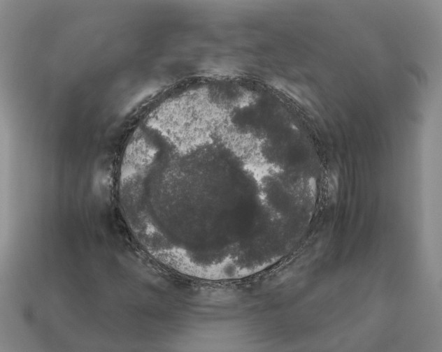 X0000113171254200910021515