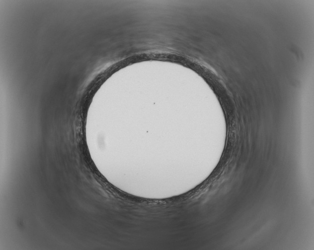 X0000113171255200910021515