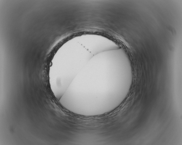 X0000113171256200910021515