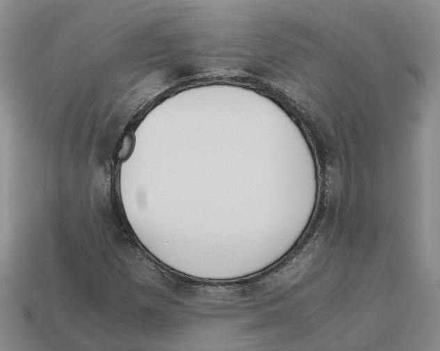 X0000113171257200910021515