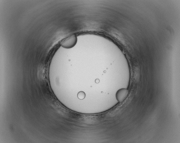X0000113171258200910021515