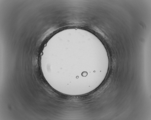X0000113171259200910021515