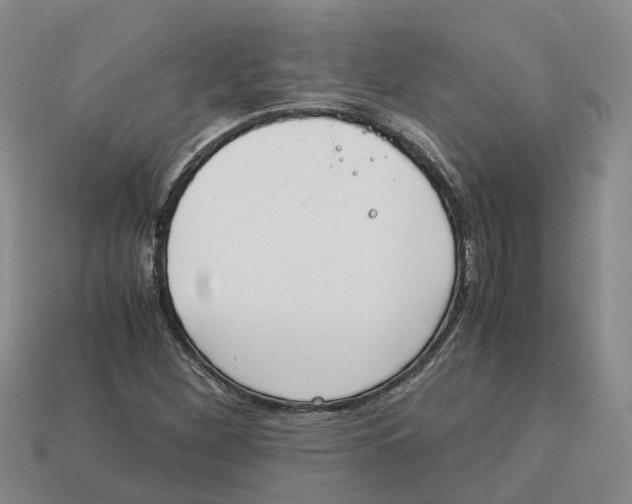 X0000113171260200910021515