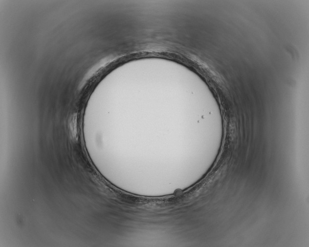 X0000113171262200910021515