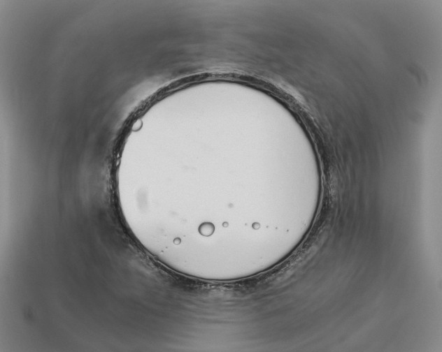 X0000113171263200910021515