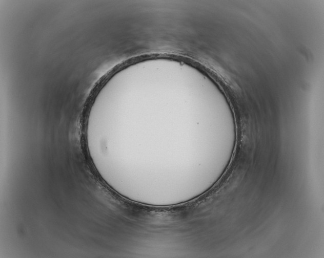 X0000113171264200910021515
