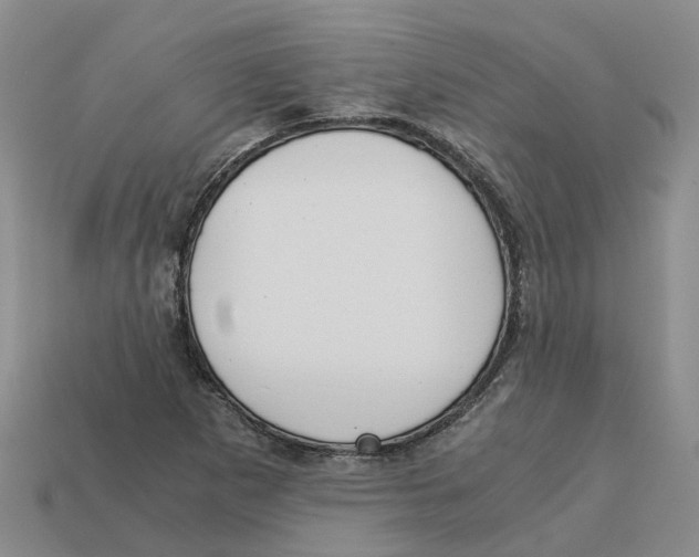 X0000113171265200910021514