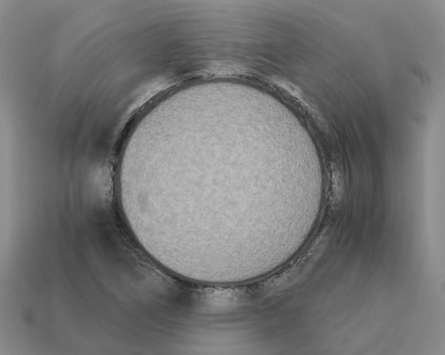 X0000113171266200910021514