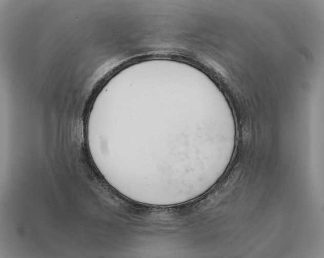 X0000113171267200910021514