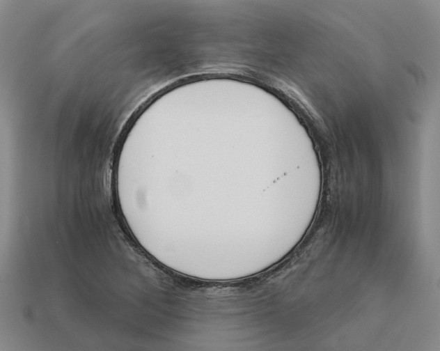 X0000113171268200910021514