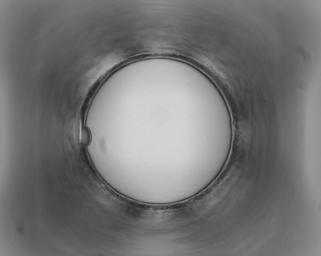 X0000113171269200910021514