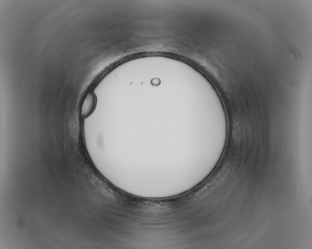X0000113171270200910021514