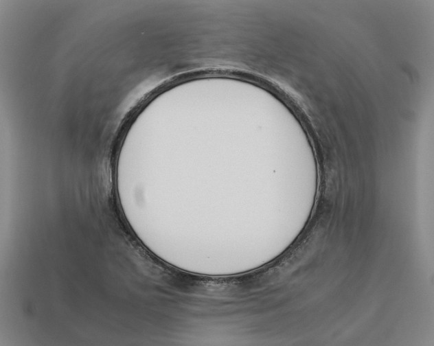 X0000113171271200910021514