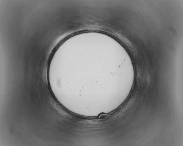 X0000113171272200910021514