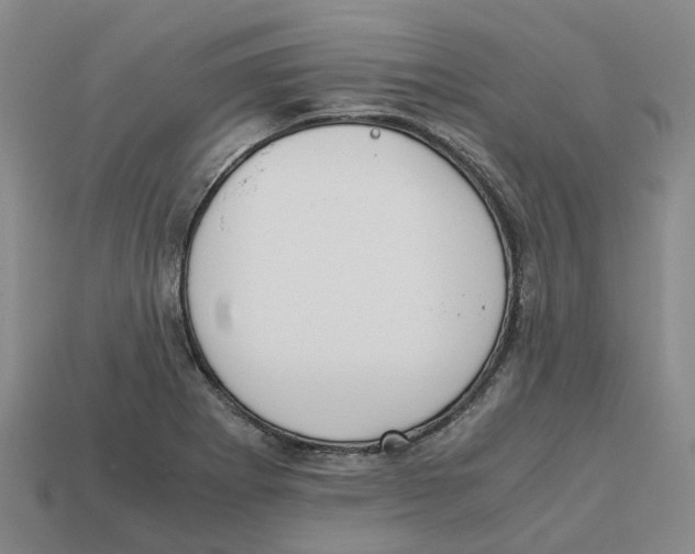 X0000113171273200910021514