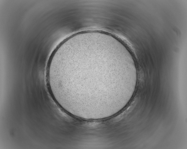 X0000113171278200910021514