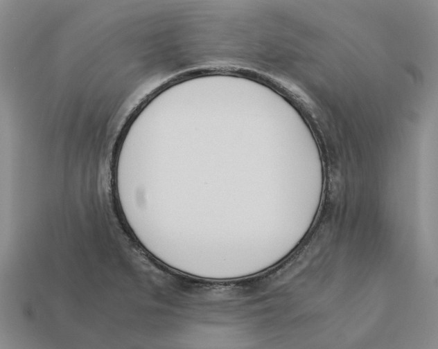 X0000113171279200910021514