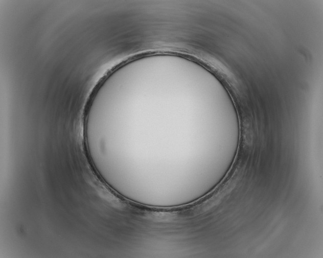X0000113171280200910021514