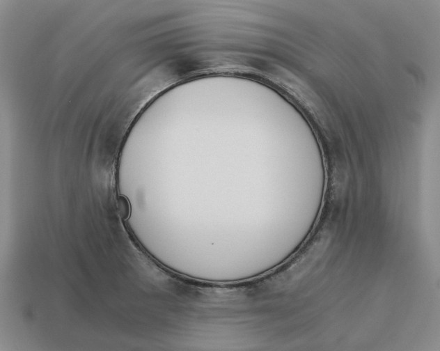 X0000113171281200910021514