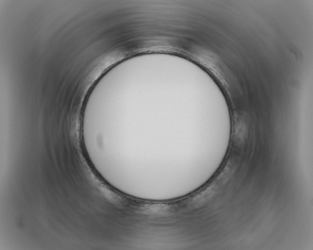 X0000113171282200910021514