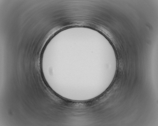 X0000113171283200910021514
