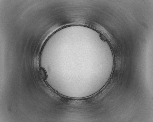 X0000113171284200910021514
