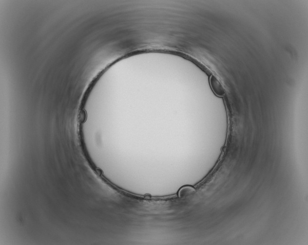 X0000113171285200910021514