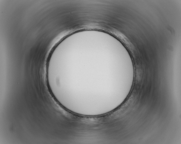 X0000113171286200910021514