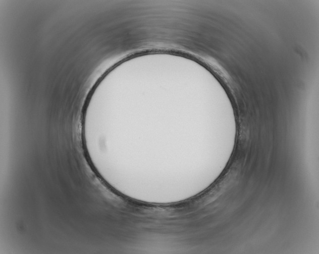 X0000113171287200910021514