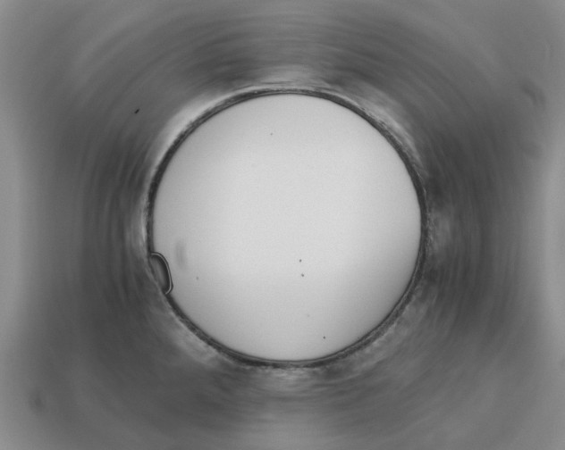 X0000113171288200910021514