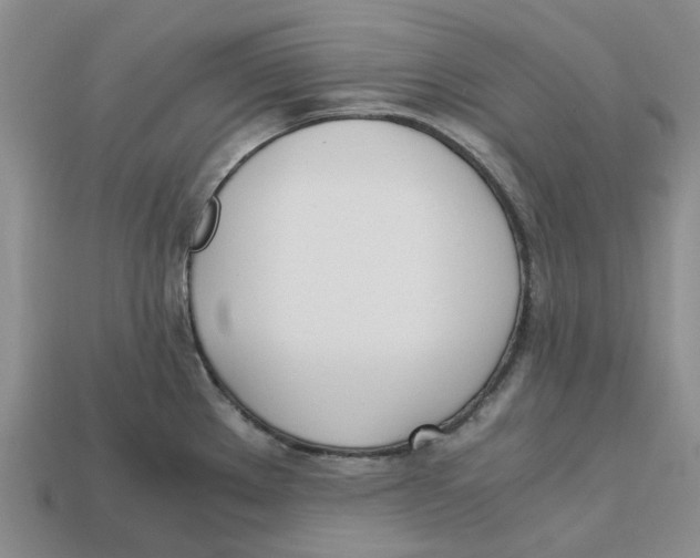 X0000113171289200910021514