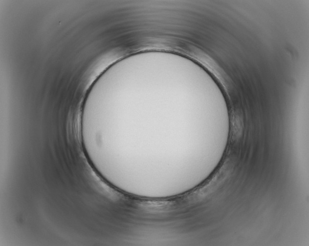 X0000113171290200910021514