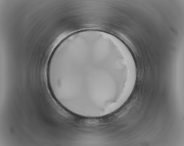 X0000113171291200910021514