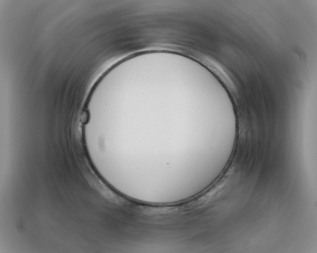 X0000113171292200910021514