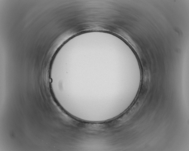 X0000113171293200910021514