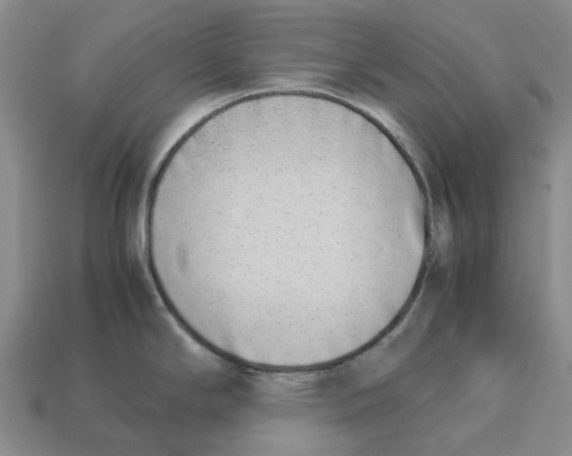 X0000113171294200910021514