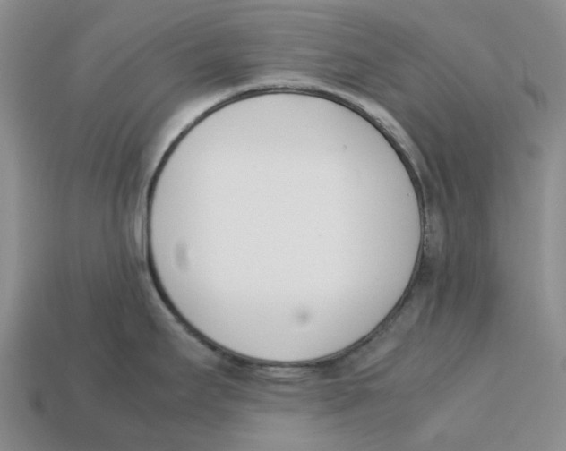 X0000113171295200910021514