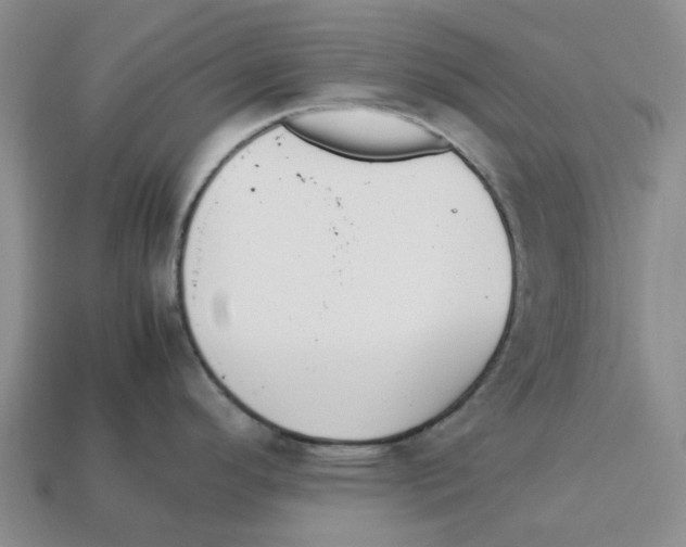 X0000113171296200910021514